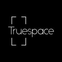 the Truespace is an innovative consulting firm designed to help small businesses stay compliant, reduce risk and attract and retain quality employees by providing access to affordable solutions, Benefits and resources. Over 15 years of experience in one place
