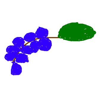 My Favorite Color